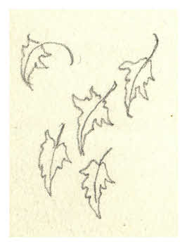 Visualizza l'immagine "FD D 1320"